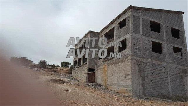 Grande œuvre à Hay Mohamadi 2 hectares et 6000 m²