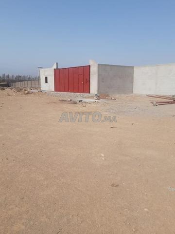 Terrain agricole à Taroudant de 18 hectares titré