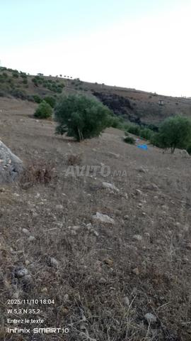 ضواحي شفشاون - 2