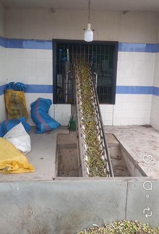 Huile d'olive Aitourir de notre pays - 2