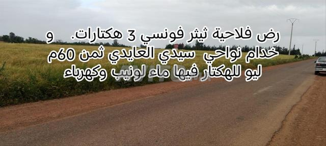 Terrain agricole Tétouan Foncière prix 60 millions l'hectare