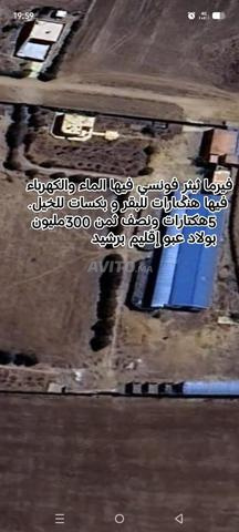 Ferme complète Tither Fonsi prix 300 millions 5 hectares - 2