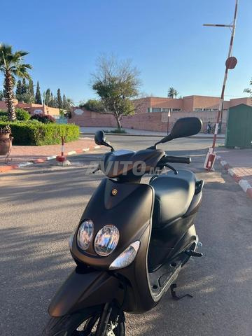 نيوس جديد - 2