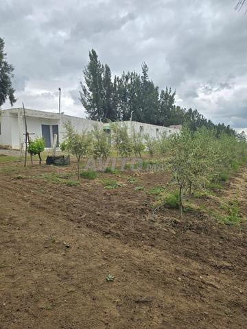 Ferme aménagée opportunité près de Rabat