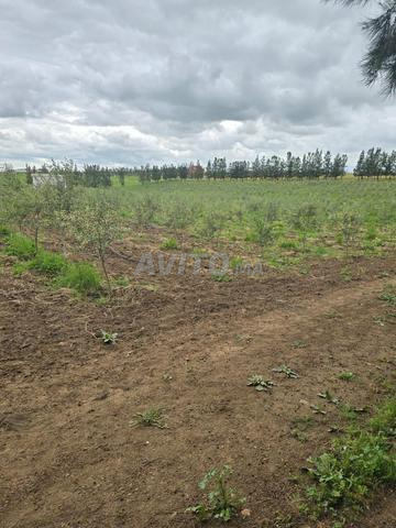 مزرعة مجهزة فرصة بالقرب من الرباط