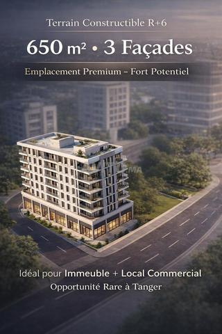 أرض 650 م² – R6 شارع مولاي رشيد - 2