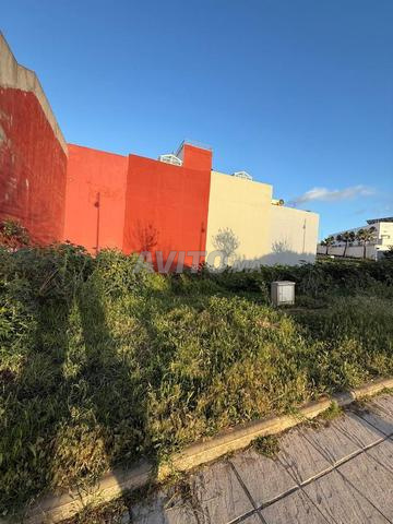 أرض مسجلة في أصيلة - 2