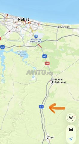 Ferme Olive Magnifique | 6.25 Ha | 45 Min de Rabat