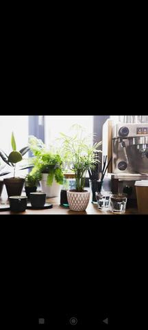 Fonds de commerce café - 2