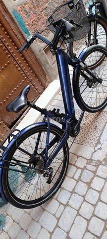 Moustache électrique - 2