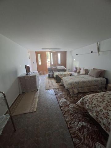 استوديو طويل الأمد//البستان - 2