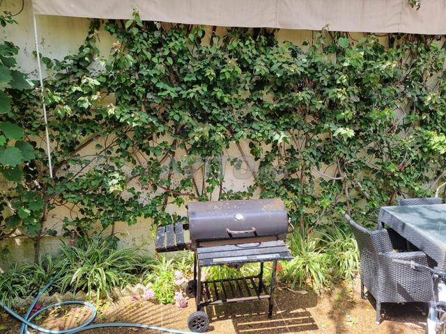 Salon de jardin (Kitea) à vendre - 2