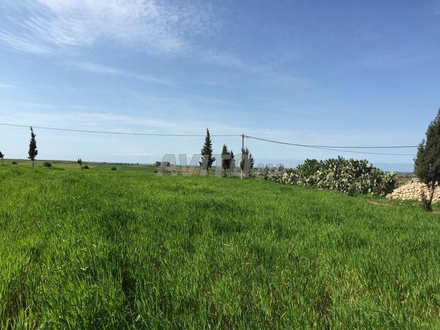 Terrain titré pour villa 3 façades - 2