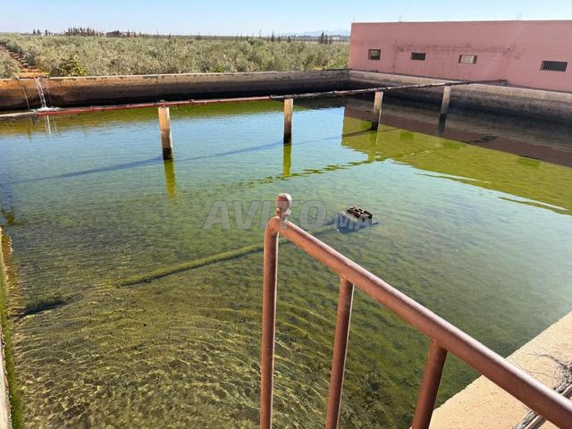 مزرعة للبيع سيدي بوعثمان مراكش - 2