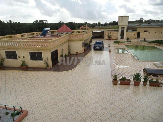 Ferme 4 hectares sur route nationale chtouka