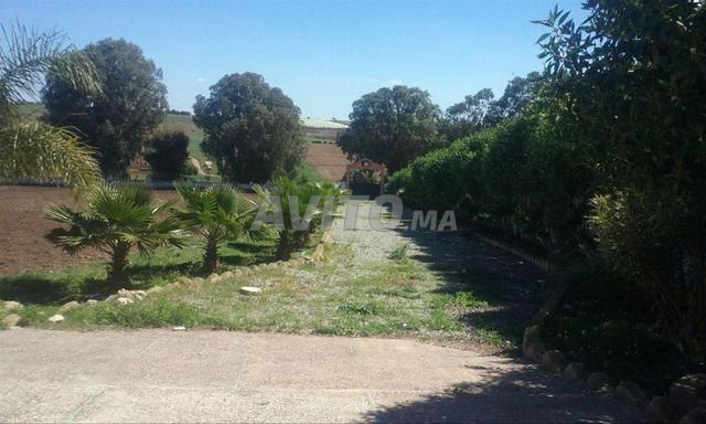 Ferme 4 hectares sur route nationale chtouka