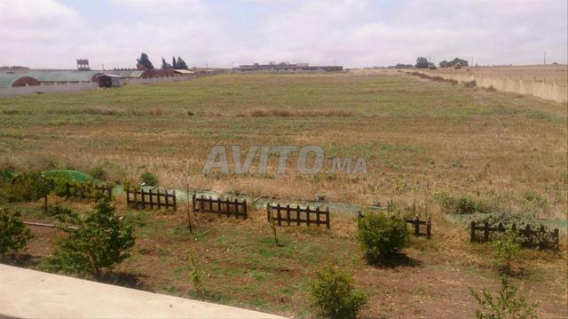 Ferme 4 hectares sur route nationale chtouka