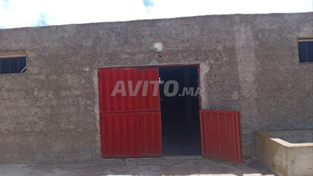 Ferme 4 hectares sur route nationale chtouka
