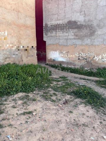 Terrain équipé 80 m Oued El Dahab Berkane