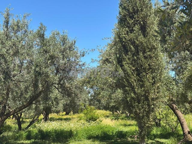 Terrain à vendre 2 hectares 400 m², titré