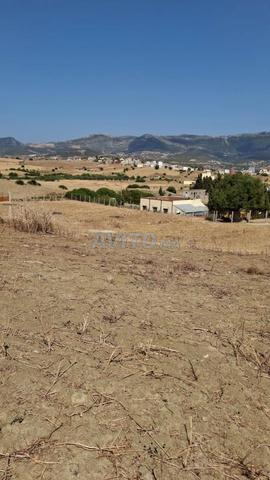 Terrain à vendre à Khmis Angra, Tétouan - 2