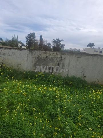 À vendre à Souissi quartier les ambassadeurs - 2