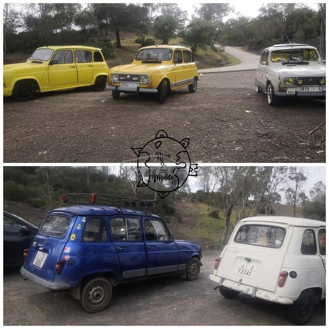 Renault R4 Essence Manuelle 1984 à Ain Aouda