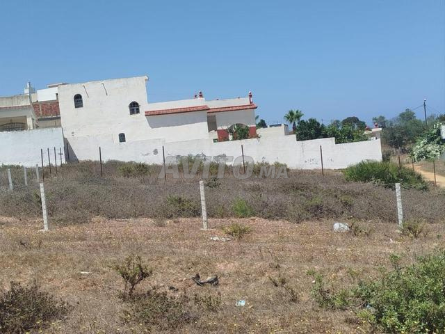 Terrain à vendre à Azla (Tétouan) - 2