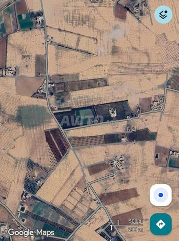 Ferme 3 hectares proche technopole - 2