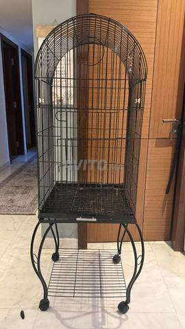 cage à oiseaux XL - 2