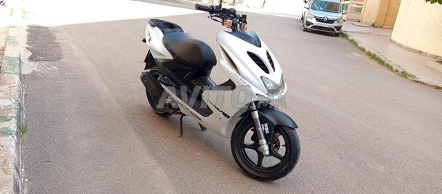 مكناس مرجانة - 2