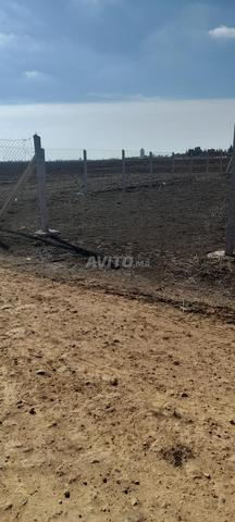 مزرعة مسورة بمساحة حوالي 3170 متر مربع - 2