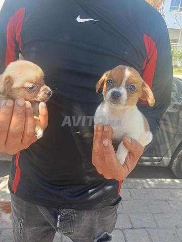 jfvdjjd vu kwnnw - 2