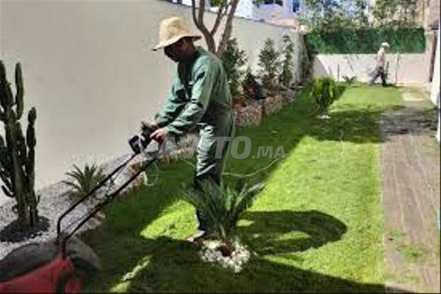 Aménagement Jardin & Entretien Espace Vert Pro - 2