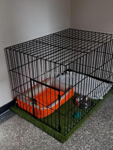 قفص لكلب روتويلر بحالة ممتازة – متين وواسع - 2