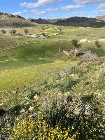 أرض فلاحية 7 هكتار للبيع بثمن مناسب - 2