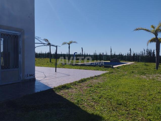 Vente ferme sur Berrechid - 2