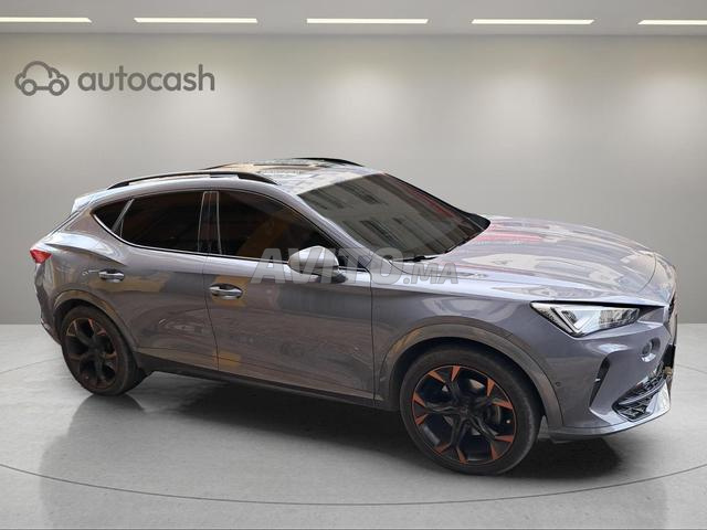 677 - كوبرا فورمنتور 2024 مفحوصة مع تمويل - 2