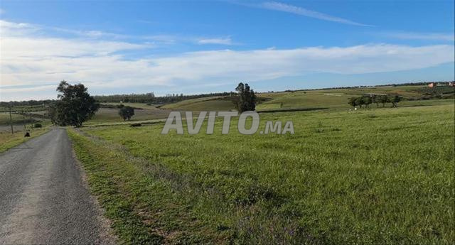 Terrains titrés à Sidi Rahal, emplacement stratégique - 2
