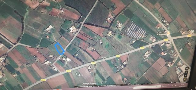 أرض جميلة للبيع - 2