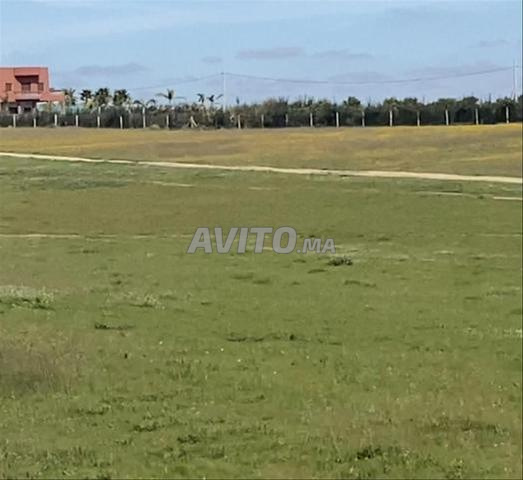 Vente de terrains & fermes titrés — Sidi Rahal - 2