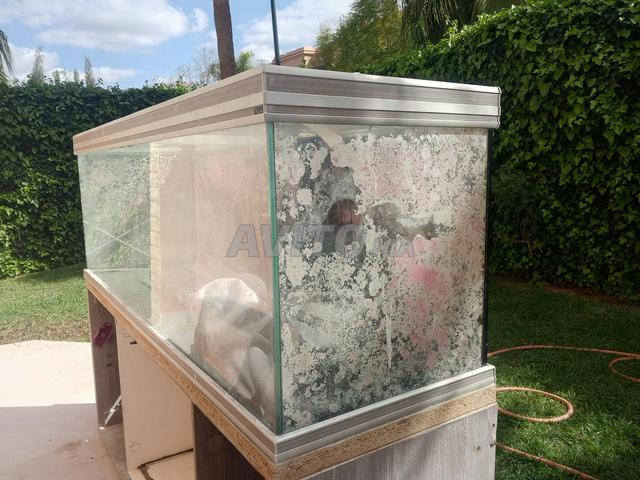 Aquarium à vendre - 2
