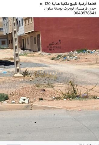 قطعة أرضية 119 - 2