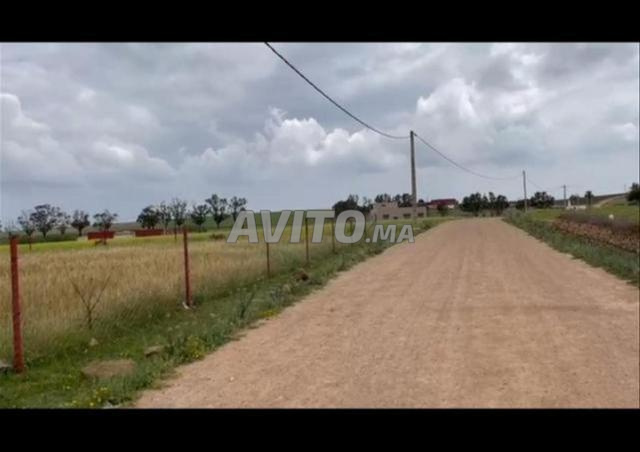 أراضي فلاحية محفظة بسيدي رحال للسكن - 2