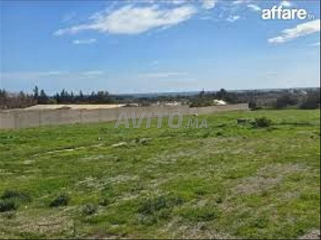 Terrains titrés agricoles à Bir Jdid - 2