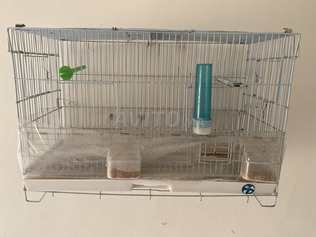 Cage à oiseaux
