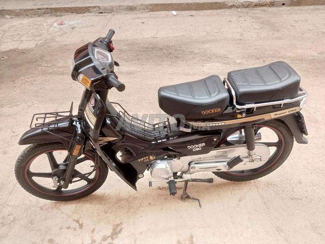 دوكر C50 2025 - 2