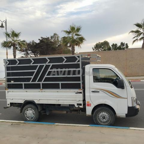 هوندا تاتا سوبر ايس ديزل مانويل 2022 في آسفي - 2