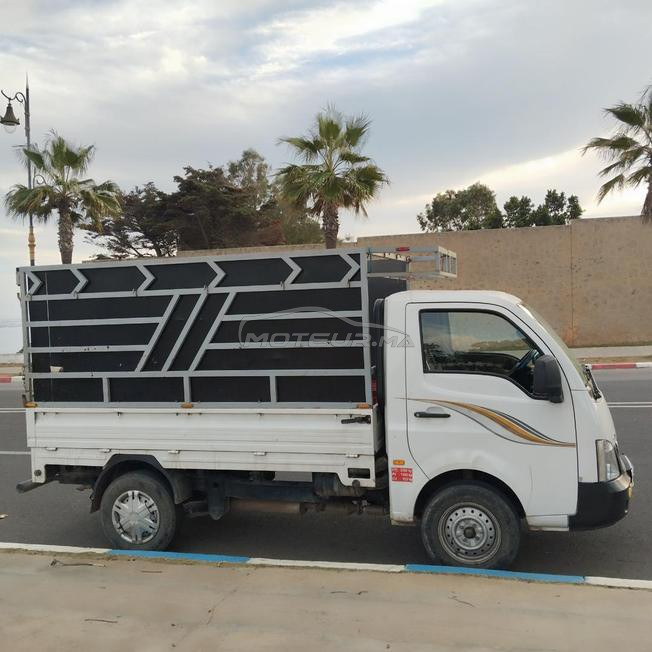 Tata Super Ace Diesel Manuelle 2022 à Safi