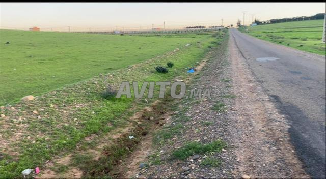 أراضٍ وفرمات محفظة بسيدي رحال الشاطئ - 2